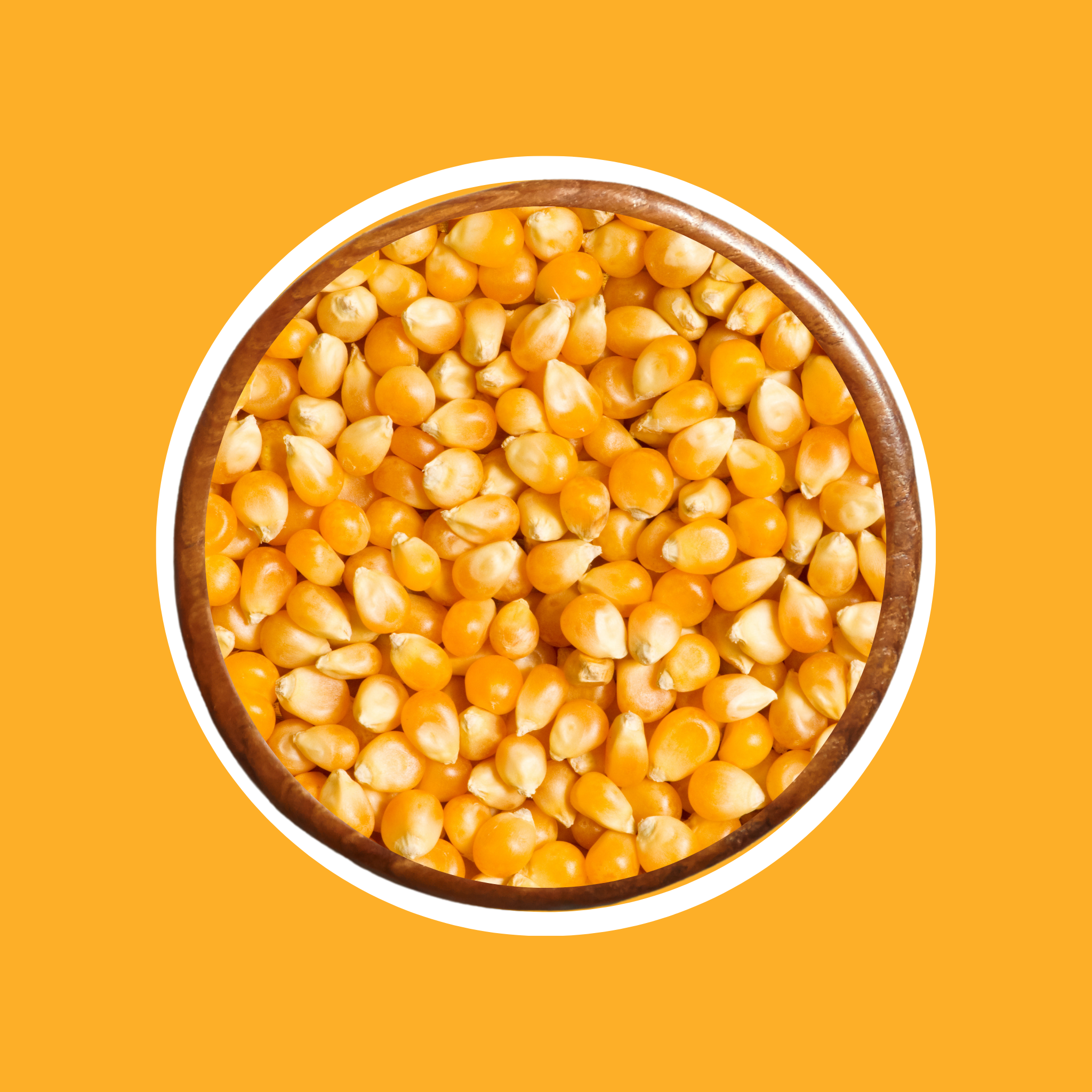 AMERICAN CORN (MAKAI) - Bombay Foods