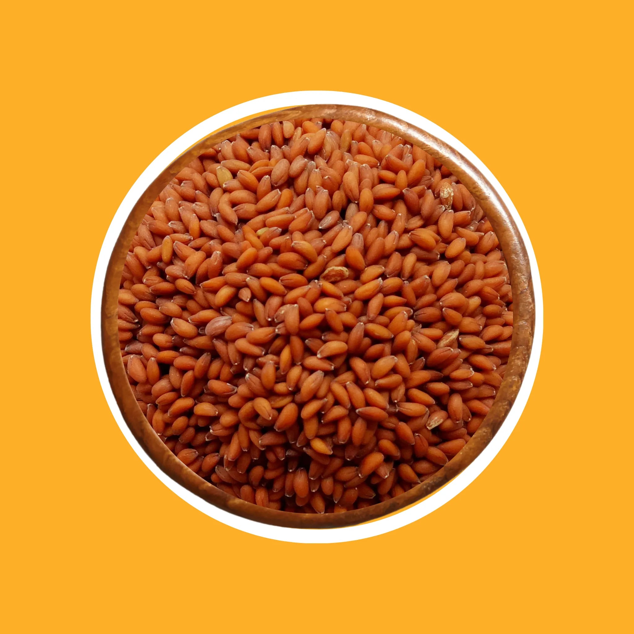 HALON SEEDS - Bombay Foods